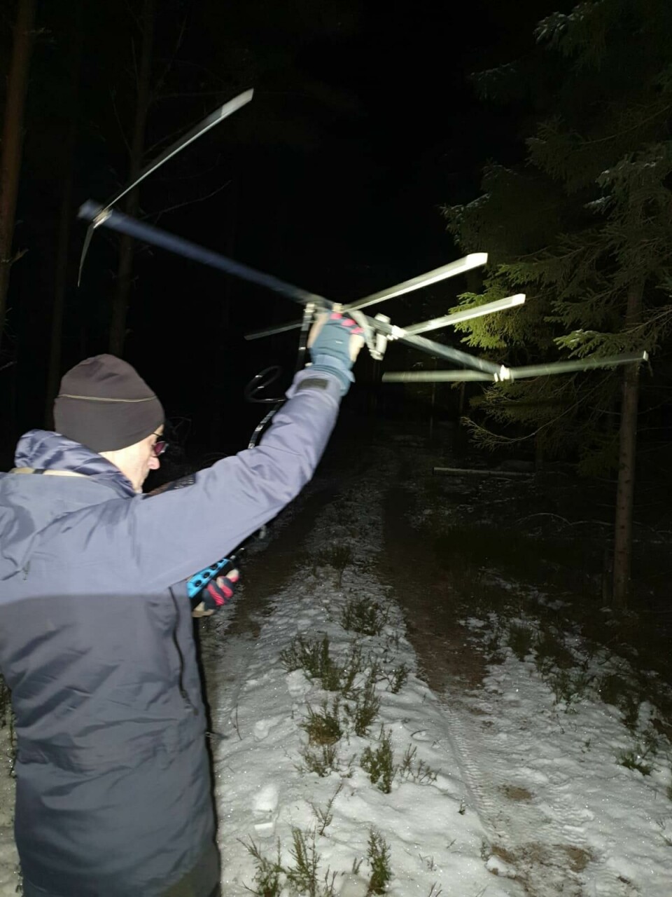 Ulveparet ble overvåket og radiosenderne peilet i felt i noen timer etter slipp. Ulveparet ble overvåket og radiosenderne peilet i felt i noen timer etter slipp.