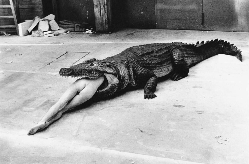 Crocodile, Wuppertale tatt i 1983 er ett av mange ikoniske fotografier fra Helmut Newton, nå gjenstand for dokumentarfilmen «Helmut Newton – The Bad and the Beautiful».