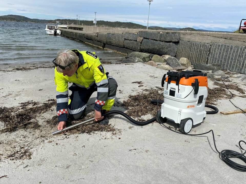 De seneste dagene er det blitt samlet opp plastpellets blant annet på Jomfruland.