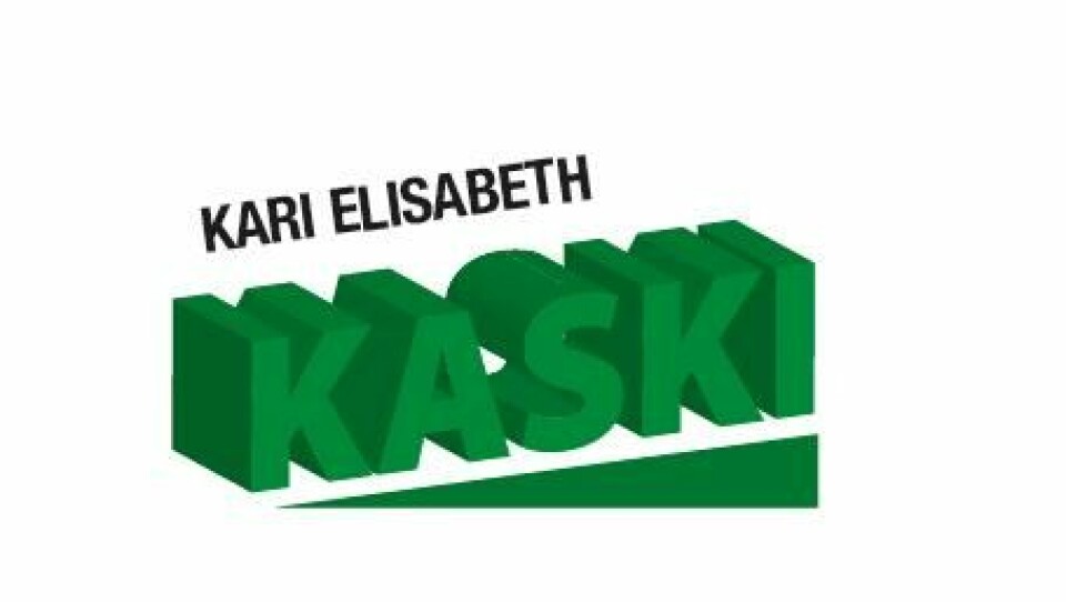 Kaski og Fylkesnes kjemper om toppverv i SV ###