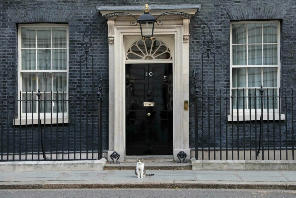 HUSKATT: Katten Larry bor i Downing Street 10, og har for øyeblikket selskap av Theresa May. Men om hun får gjennom sin brexitavtale, flytter hun ut. FOTO: ISABEL INFANTES/NTB SCANPIX HUSKATT: Katten Larry bor i Downing Street 10, og har for øyeblikket selskap av Theresa May. Men om hun får gjennom sin brexitavtale, flytter hun ut. FOTO: ISABEL INFANTES/NTB SCANPIX