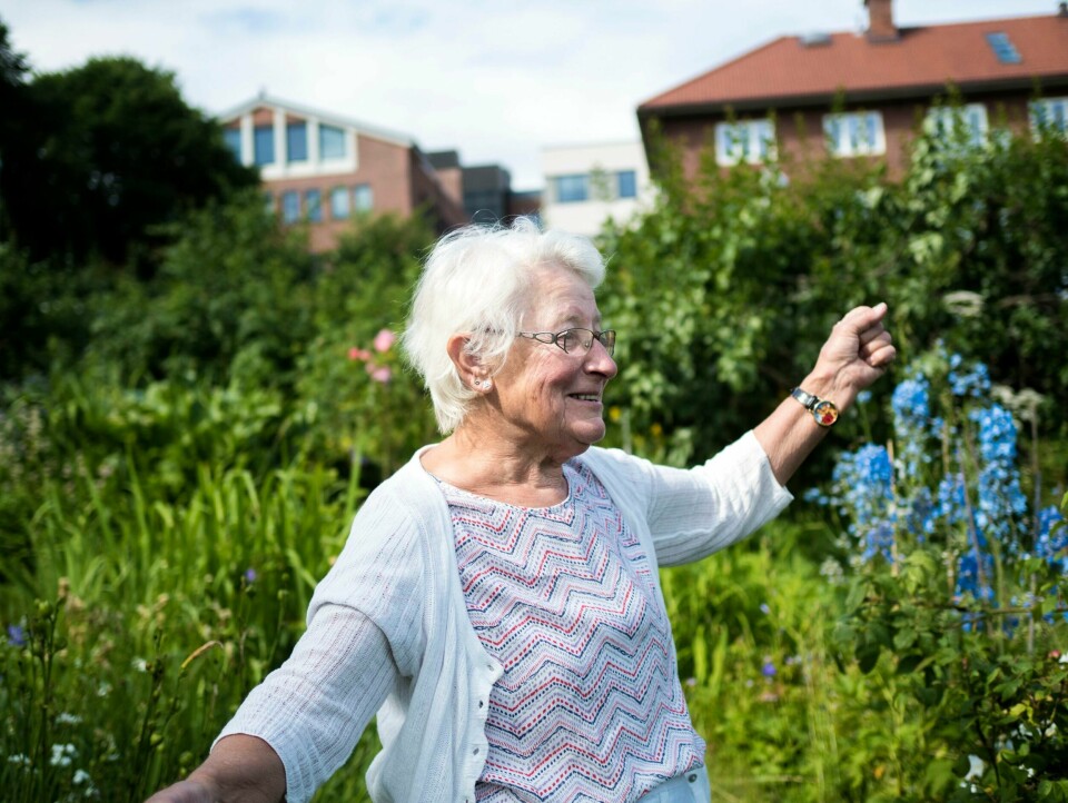 IDYLL: Rosemarie Gauder er født med grønne fingre. Da er det greit å ha en egen hage å rømme til midt i byen.
