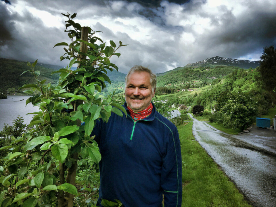 Eplebonde og siderprodusent Asbjørn Børsheim på Hakastad gård dyrker 20 sorter epler i de bratte årkene i Ulvik. Eplebonde og siderprodusent Asbjørn Børsheim på Hakastad gård dyrker 20 sorter epler i de bratte årkene i Ulvik.