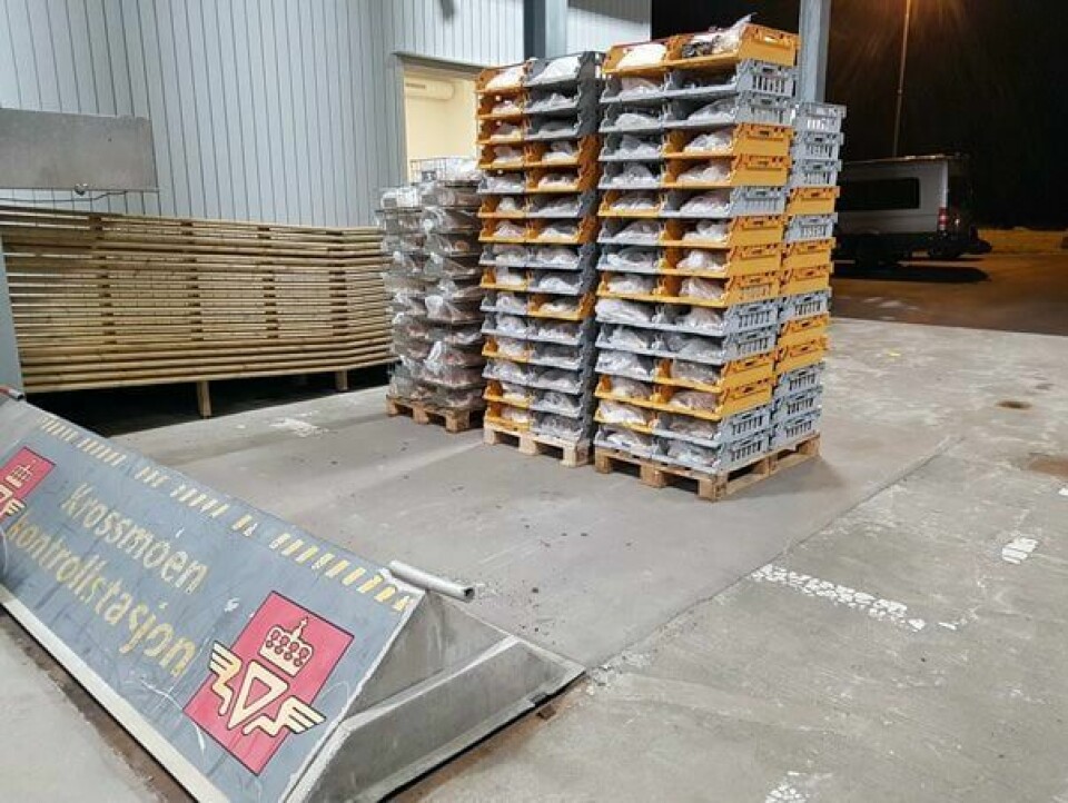 500 kilo boller og brød måtte stå igjen på Krossmoen kontrollstasjon. Foto: Statens vegvesen