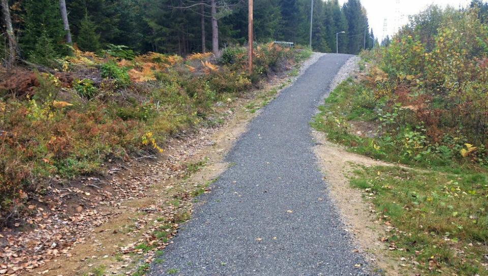 Trygt?: Drammensmarkas venner er skeptiske til belegget med asfaltgrus, som er brukt som dekke på enkelte strekninger av turstiene i Drammensmarka. De synes det er et stort inngrep å legge ut sånt i naturen. FOTO: PRIVAT Trygt?: Drammensmarkas venner er skeptiske til belegget med asfaltgrus, som er brukt som dekke på enkelte strekninger av turstiene i Drammensmarka. De synes det er et stort inngrep å legge ut sånt i naturen. FOTO: PRIVAT