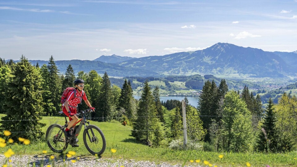 Elsykkel kan være et utmerket valg for lange turer i variert terreng, så lenge du sørger for å lade batteriene daglig. Foto: Shutterstock/NTB scanpix Elsykkel kan være et utmerket valg for lange turer i variert terreng, så lenge du sørger for å lade batteriene daglig. Foto: Shutterstock/NTB scanpix