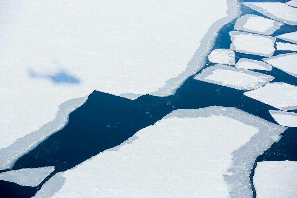 Is på en av fjordene på Svalbard. Nesten Nordpolen 20150421.
Is på en av fjordene på Svalbard. Svalbard og Arktis er det område i verden hvor klimaendringene merkes mest og først. De siste årene har det blitt stadig mindre is i fjordene noe som har tvunget isbjørnen på land etter jakt på mat.
Foto: Tore Meek / NTB scanpix