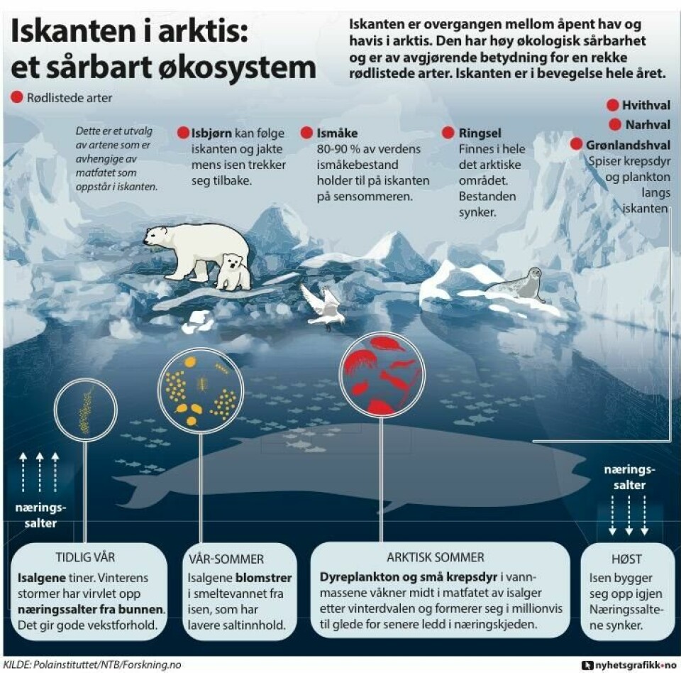 Unge Høyre-leder: – Nå blir det en større iskant-debatt i Høyre ###