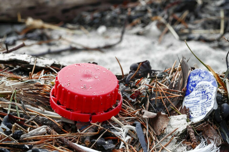 Plast i strandkanten og søppel er egentlig ressurser som blir brukt på feil måte. Foto: Terje Pedersen/NTB scanpix