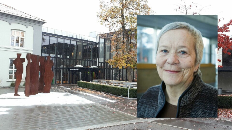 Høyskolerektor: – Vi tenker ikke økonomisk lønnsomhet ###