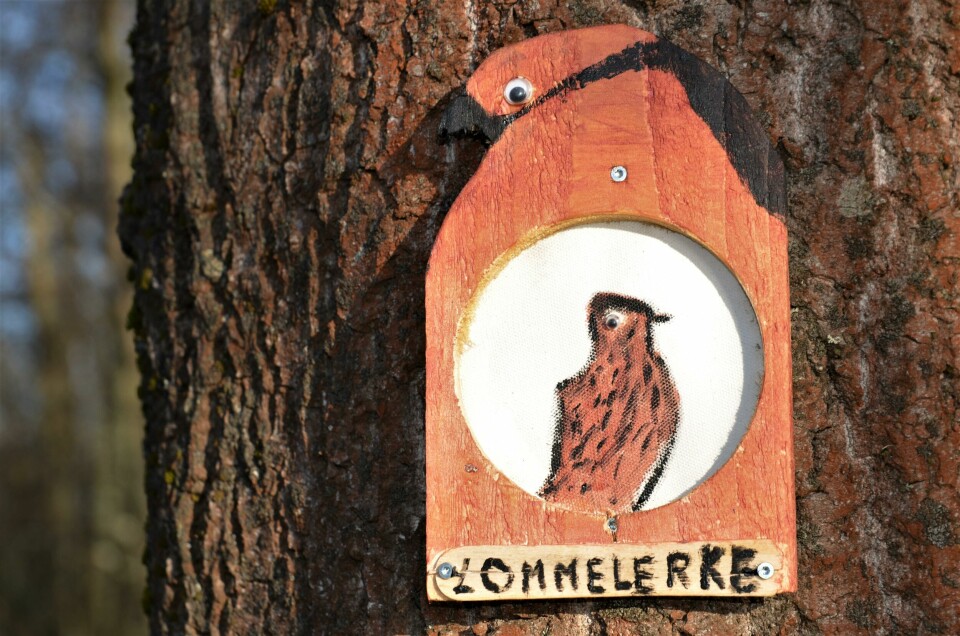 «Forest art» på Glommastien ved Nabbetorp ###