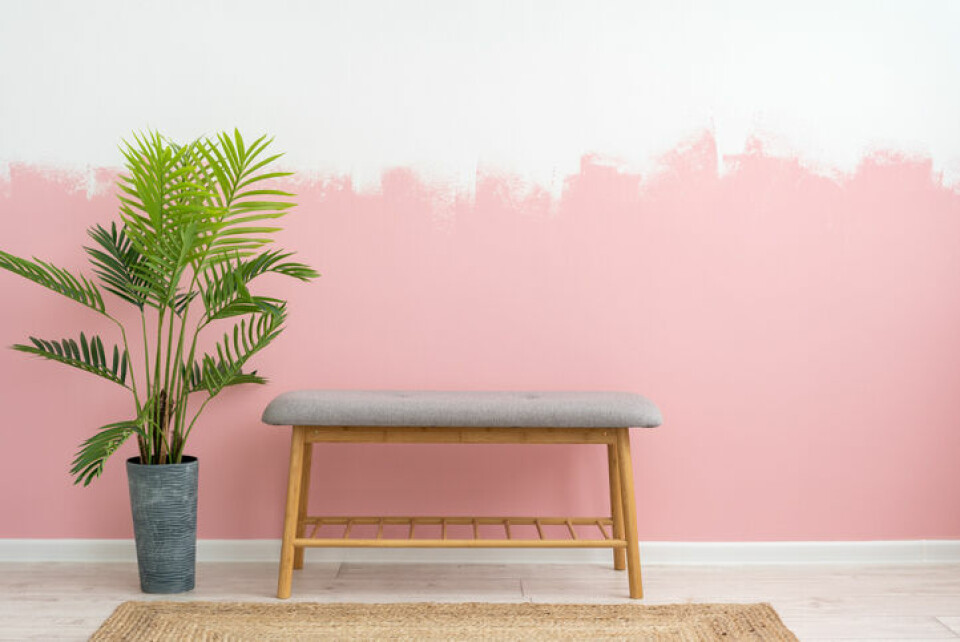Lyst på rosa stue? Du er ikke alene. Lyst på rosa stue? Du er ikke alene.