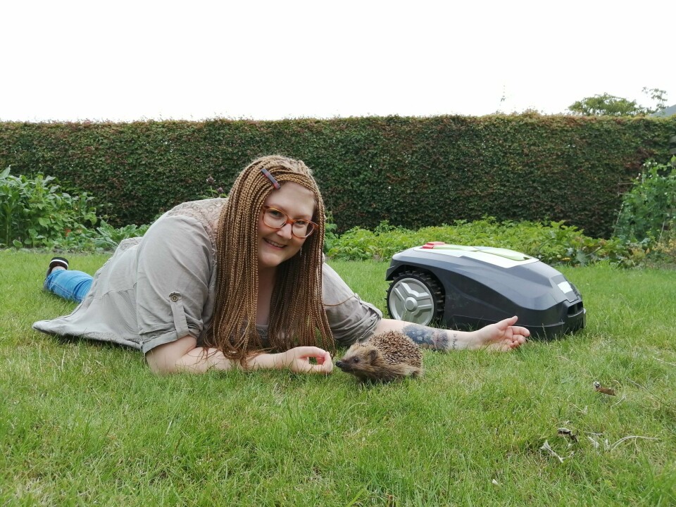 Sophie Lund Rasmussen har vært fasinert av piggsvin helt siden hun var liten, nå er hun ekspert på europeiske piggsvin. Sophie Lund Rasmussen har vært fasinert av piggsvin helt siden hun var liten, nå er hun ekspert på europeiske piggsvin.