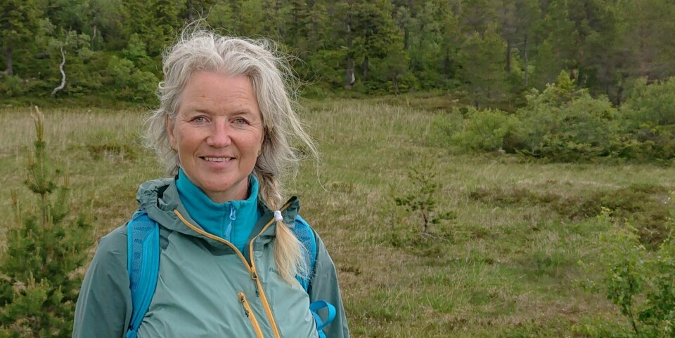 Med hjelp fra Kristiansand dyrepark håper Ingrid Regina Reinkind i Miljødirektoratet å kunne gjøre tilværelsen litt tryggere for en av froskeartene vi finner i Norge. Med hjelp fra Kristiansand dyrepark håper Ingrid Regina Reinkind i Miljødirektoratet å kunne gjøre tilværelsen litt tryggere for en av froskeartene vi finner i Norge.