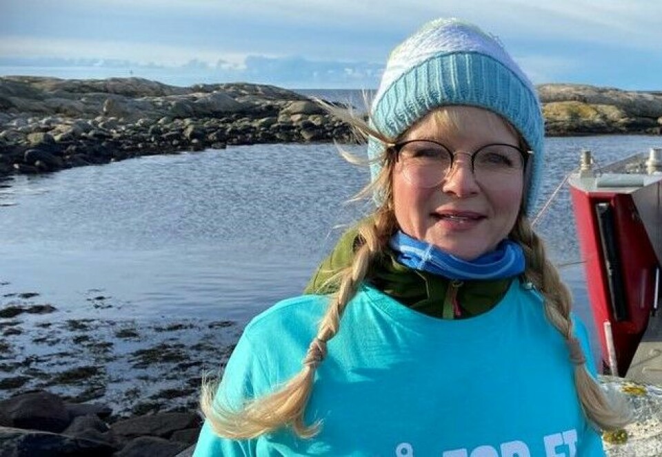 – Det blir krig innad i et så stort fylke, sier Hvaler-ordfører Mona Vaugner (Ap). – I framtiden må det ikke være viktigst å eie. Men å oppleve, delta og leie, sier Hvaler-ordfører Mona Vauger (Ap).