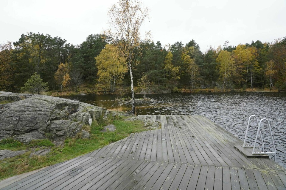 Det var i nærheten av 3. stampe i Baneheia i Kristiansand at Lena Sløgedal Paulsen (10) og Stine Sofie Sørstrønen (8) ble drept i 2000. Det var i nærheten av 3. stampe i Baneheia i Kristiansand at Lena Sløgedal Paulsen (10) og Stine Sofie Sørstrønen (8) ble drept i 2000.