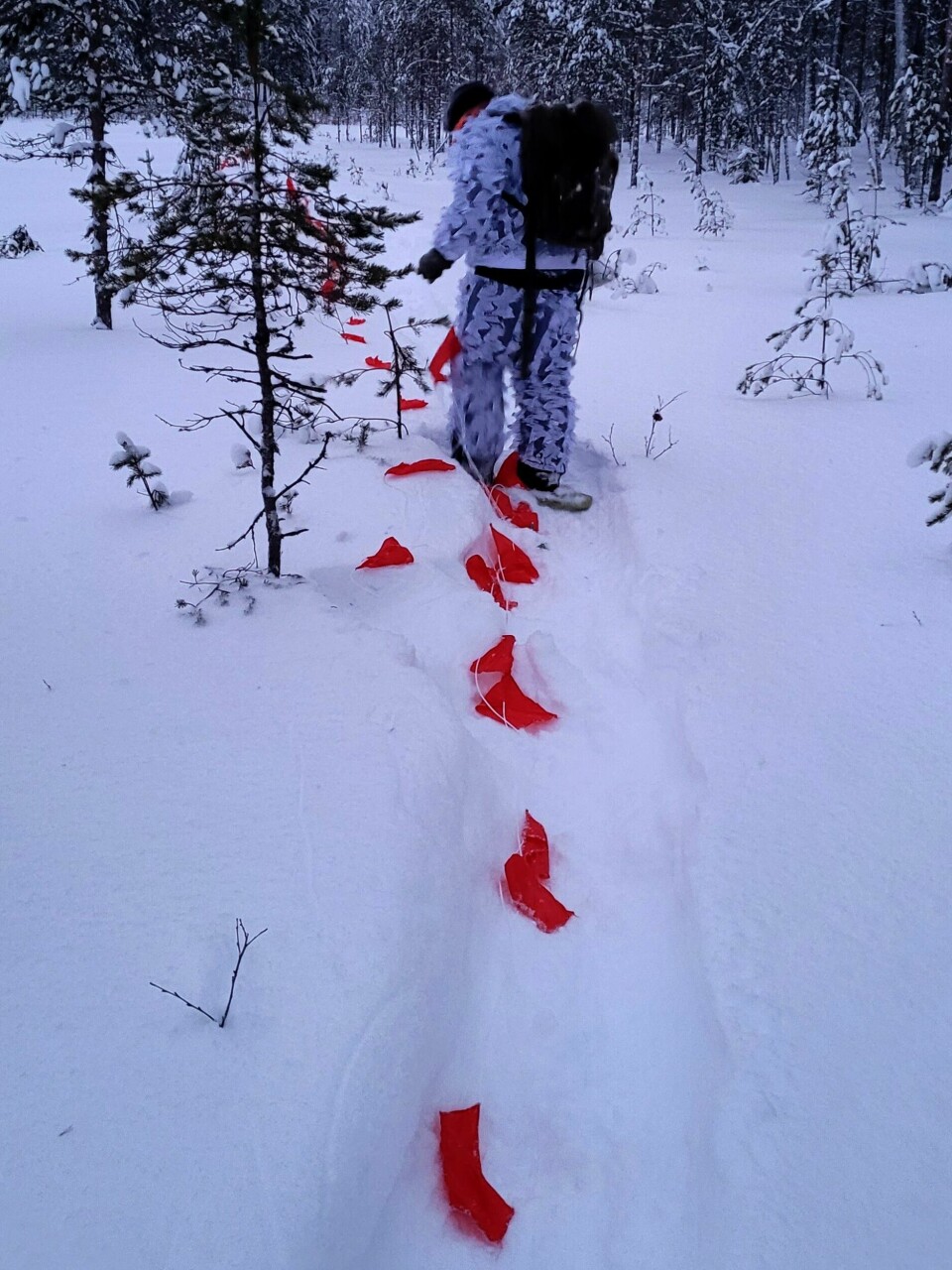 Bildet viser aktivister som fjerner flaggliner ute i skogen. Fjerner flaggliner, i snøen, skumring