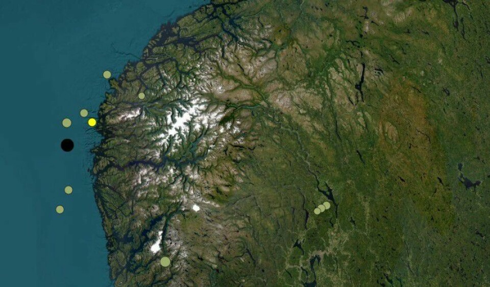 Ifølge Jordskjelvstasjonen i Bergen hadde skjelvet en styrke på 3,8. Ifølge Jordskjelvstasjonen i Bergen hadde skjelvet en styrke på 3,8.
