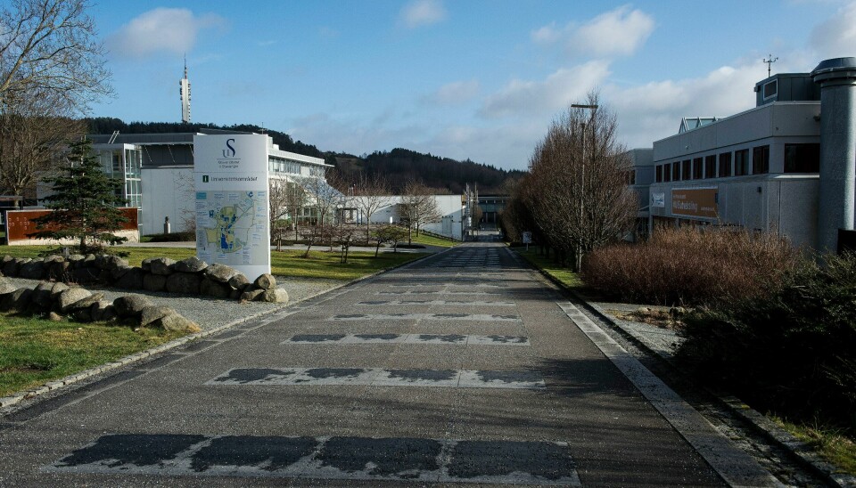 UiS ønsker å etablere medisinutdanning i Stavanger. UiS ønsker å etablere medisinutdanning i Stavanger.