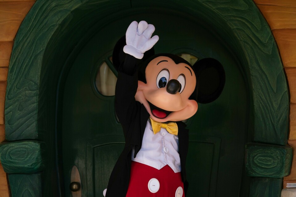 Mikke Mus vil ha fagforening for seg og de andre som jobber i Disneyland, California. Mikke Mus vil ha fagforening for seg og de andre som jobber i Disneyland, California.