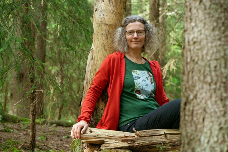 – Norge må bli arealnøytralt, altså slutte å ødelegge intakt natur. Samtidig er det som har størst negativ effekt for artsmangfoldet i skog, ikke at noe skog forsvinner i nedbygging, men at vi driver intensiv produksjon av trevirke på en stor andel av det produktive arealet, sier Anne Sverdrup-Thygeson. – Norge må bli arealnøytralt, altså slutte å ødelegge intakt natur. Samtidig er det som har størst negativ effekt for artsmangfoldet i skog, ikke at noe skog forsvinner i nedbygging, men at vi driver intensiv produksjon av trevirke på en stor andel av det produktive arealet, sier Anne Sverdrup-Thygeson.
