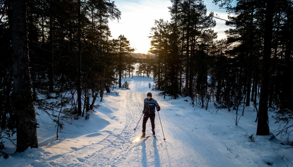Flesteparten av Norges skiløpere vil ha skiløypene for seg selv. Flesteparten av Norges skiløpere vil ha skiløypene for seg selv. Foto: Gorm Kallestad / NTB