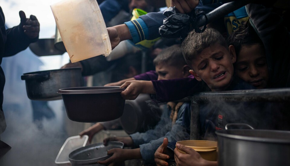 Palestinere kjemper om et måltid mat fra suppekjøkkenet til en hjelpeorganisasjon i Rafah sør på Gazastripen. Palestinere kjemper om et måltid mat fra suppekjøkkenet til en hjelpeorganisasjon i Rafah sør på Gazastripen. Foto: AP / NTB