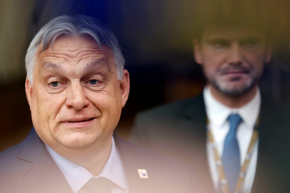 Ungarns statsminister Viktor Orban leder det nasjonalkonservative partiet Fidesz. Nå inngår partiet en allianse med Østerrikes FPÖ – en allianse som «alle partier» skal kunne delta i. Ungarns statsminister Viktor Orban leder det nasjonalkonservative partiet Fidesz. Nå inngår partiet en allianse med Østerrikes FPÖ – en allianse som «alle partier» skal kunne delta i. Foto: Geert Vanden Wijngaert / AP / NTB