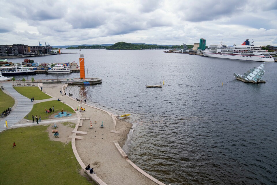 Oslofjorden er uvanlig brun og mørk i sommer på grunn av en sterk oppblomstring av alger. Oslofjorden er uvanlig brun og mørk i sommer på grunn av en sterk oppblomstring av alger. Foto: Fredrik Varfjell / NTB