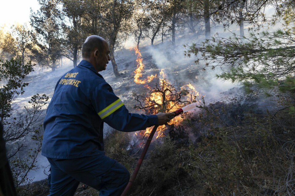 Det ble registrert nærmere 1300 skog- og krattbranner i hellas i juni, over dobbelt så mange som i samme måned i fjor. Det ble registrert nærmere 1300 skog- og krattbranner i hellas i juni, over dobbelt så mange som i samme måned i fjor. Foto: AP / NTB