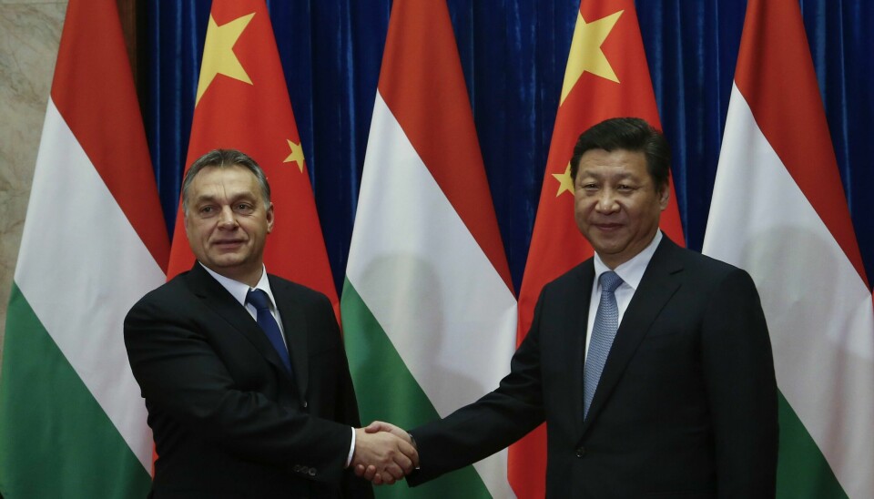 Ungarns statsminister Viktor Orban diskuterte mandag mulige fredsløsninger i Ukraina med Kinas president Xi Jinping i Beijing. Ungarns statsminister Viktor Orban diskuterte mandag mulige fredsløsninger i Ukraina med Kinas president Xi Jinping i Beijing. Foto: AP / NTB