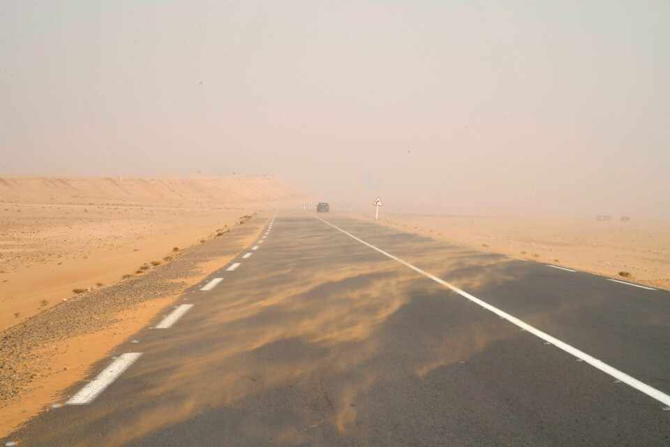 En bil kjører gjennom en sandstorm i et ørkenområde utenfor Algeries hovedstad Alger. I løpet av helgen har 14 mennesker blitt funnet døde i den algeriske ørkenen, tvunget på flukt dit fra Libya, som slår hardt ned på migranter og flyktninger. En bil kjører gjennom en sandstorm i et ørkenområde utenfor Algeries hovedstad Alger. I løpet av helgen har 14 mennesker blitt funnet døde i den algeriske ørkenen, tvunget på flukt dit fra Libya, som slår hardt ned på migranter og flyktninger. Foto: Fateh Guidoum / AP / NTB