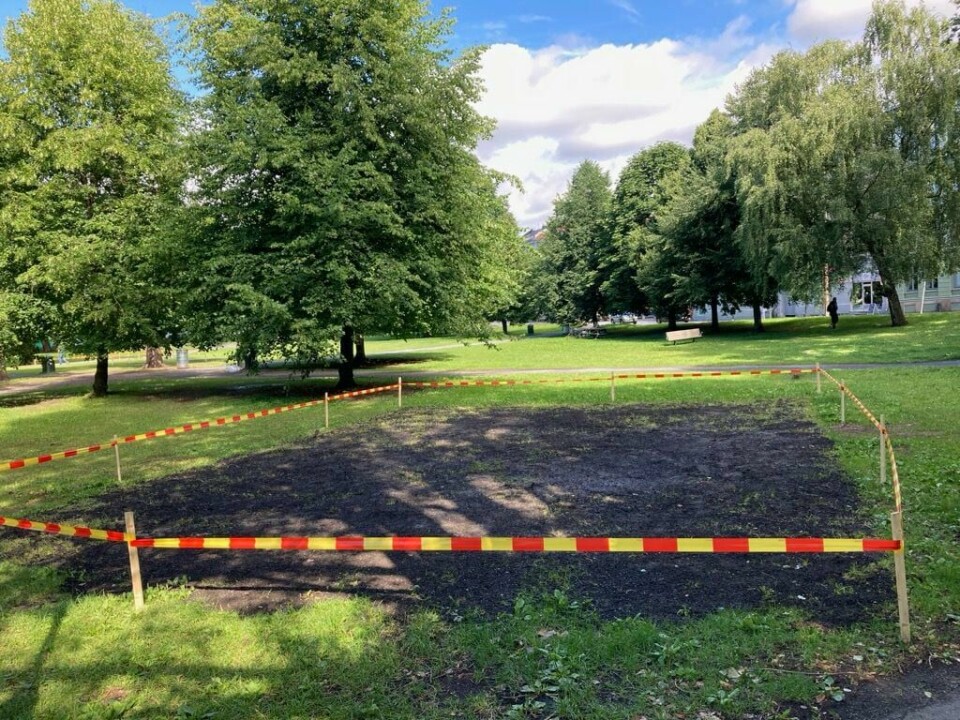 Slik framstår nå store deler av Sofienbergparken. Slik framstår nå store deler av Sofienbergparken.