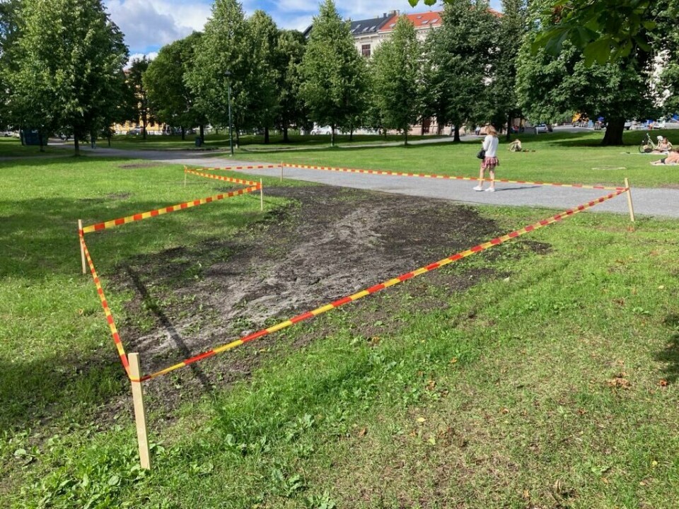 Områdene i Sofienbergparken hvor publikum kan nyte sola, er for tida mindre enn før arrangementene i juni. Områdene i Sofienbergparken hvor publikum kan nyte sola, er for tida mindre enn før arrangementene i juni.