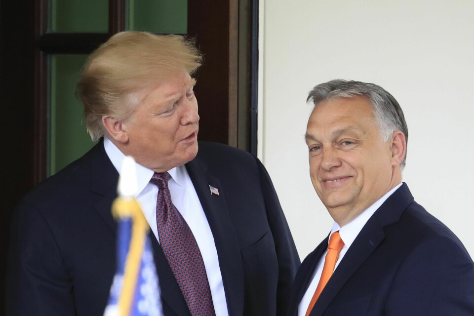 Daværende president Donald Trump tok i 2019 imot Ungarns statsminister Viktor Orban i Det hvite hus. Nå forsikrer Orban at Trump er klar til mekle i Ukraina-krigen umiddelbart etter valget i november. Daværende president Donald Trump tok i 2019 imot Ungarns statsminister Viktor Orban i Det hvite hus. Nå forsikrer Orban at Trump er klar til mekle i Ukraina-krigen umiddelbart etter valget i november. Foto. Manuel Balce Ceneta / AP / NTB