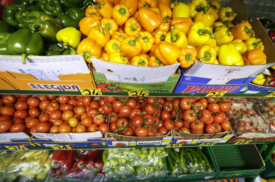 Flere typer frukt og grønnsaker kan fås for nærmere halv pris på lokale butikker rundt om i landet enn hos de store matvarekjedene. Bildet viser paprika, tomater og andre grønnsaker i en grønnsaksdisk i en butikk. Illustrasjonsfoto: Vidar Ruud / NTB