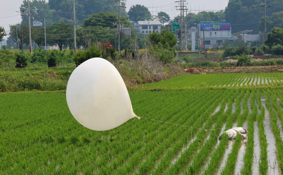 En ballong som antas å ha kommet fra Nord-Korea landet tidligere i sommer i rismarkene i sørkoreanske Incheon med sekker med søppel som hadde vært med på den luftige ferden. Arkivfoto. En ballong som antas å ha kommet fra Nord-Korea landet tidligere i sommer i rismarkene i sørkoreanske Incheon med sekker med søppel som hadde vært med på den luftige ferden. Arkivfoto: Foto: Im Sun-suk / Yonhap / AP / NTB