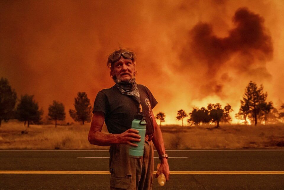 Grant Douglas tar en vannpause etter å ha blitt evakuert fra flammene i Tehama County nord i California, hvor årets største skogbrann sprer seg over et stadig større område. Grant Douglas tar en vannpause etter å ha blitt evakuert fra flammene i Tehama County nord i California, hvor årets største skogbrann sprer seg over et stadig større område. Foto: Noah Berger / AP / NTB