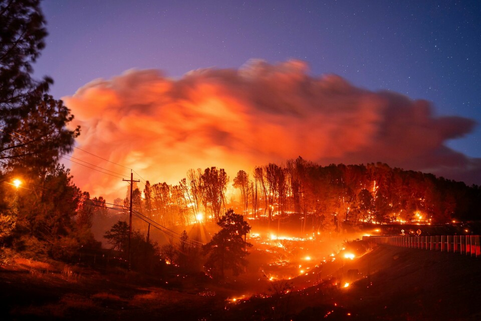 Brannen i Butte County er den største i California så langt i år. Delstaten har vært preget av høye temperaturer og skogbranner den siste tiden. Brannen i Butte County er den største i California så langt i år. Delstaten har vært preget av høye temperaturer og skogbranner den siste tiden. Foto: Noah Berger / AP / NTB