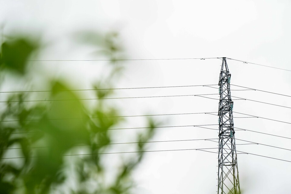 Søndag får mange strømkunder i Norge den nest laveste timeprisen noensinne, skriver Europower. Søndag får mange strømkunder i Norge den nest laveste timeprisen noensinne, skriver Europower. Foto: Annika Byrde / NTB