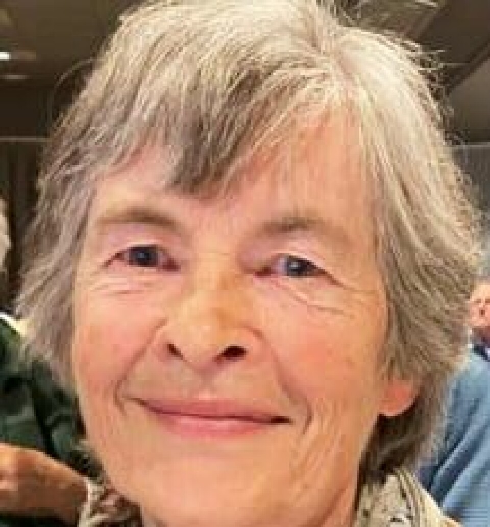 Linda Parr Rundquist er styreleder i Besteforeldrenes klimaaksjon. Linda Parr Rundquist
