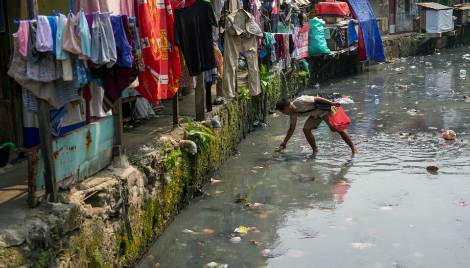 En mann samler inn plast som skal selges til resirkulering, i et fattig boligområde i Jakarta i Indonesia. En mann samler inn plast som skal selges til resirkulering, i et fattig boligområde i Jakarta i Indonesia. Foto: Tatan Syuflana / AP / NTB