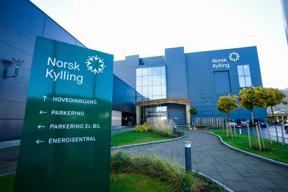 Reitan-leverandør Norsk Kylling har i nesten to år jobbet med Islamsk Råd Norge for å bli sertifisert som halal-produsent av kylling. Reitan-leverandør Norsk Kylling har i nesten to år jobbet med Islamsk Råd Norge for å bli sertifisert som halal-produsent av kylling. Foto: Lise Åserud / NTB