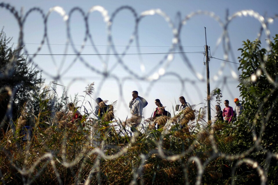 Migranter og flyktninger sett gjennom Ungarns grensegjerde til Serbia. Bildet ble tatt under flyktningkrisen i 2015, da én million mennesker ankom Ungarn. Migranter og flyktninger sett gjennom Ungarns grensegjerde til Serbia. Bildet ble tatt under flyktningkrisen i 2015, da én million mennesker ankom Ungarn. Foto: Matthias Schrader / AP / NTB