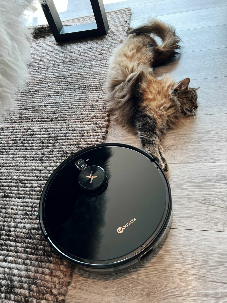 Har du firbente venner hjemme, er denne robotstøvsugeren helt genial. Neatsvor robotstøvsuger.