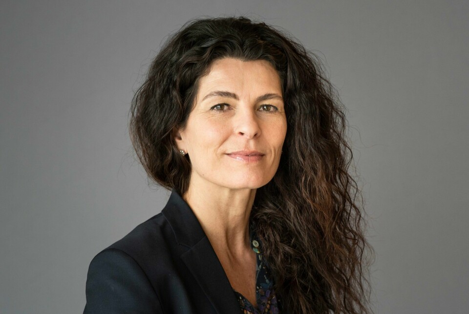 Kjersti Trøseid, direktør for Kontroll i UDI. Kjersti Trøseid, direktør for Kontroll i UDI,