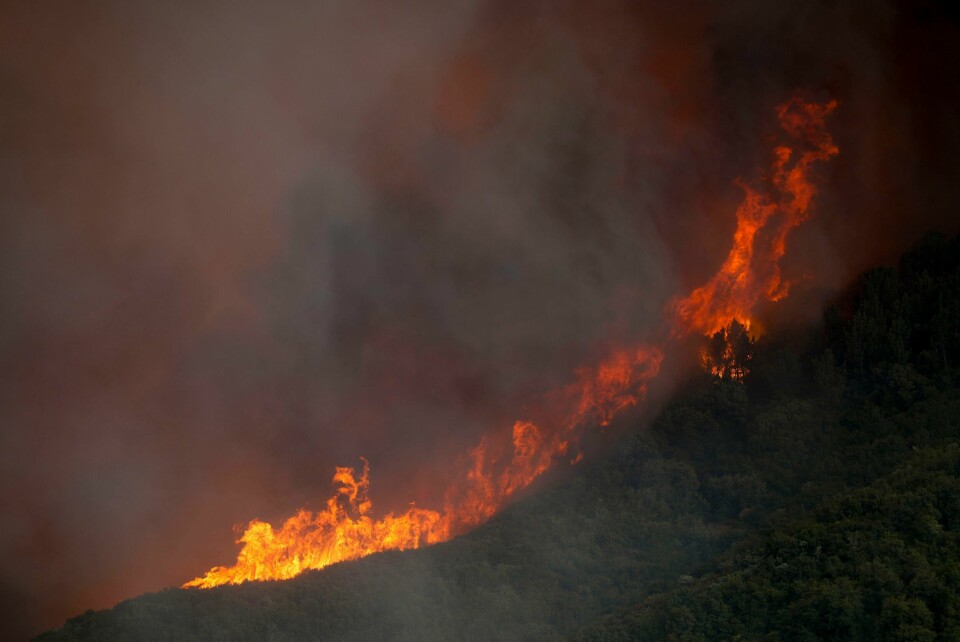 Brannen som herjer øst for Los Angeles, har fått navnet «Line Fire» – Linjebrannen. Bildet er tatt lørdag nær Running Springs. Brannen som herjer øst for Los Angeles, har fått navnet «Line Fire» – Linjebrannen. Bildet er tatt lørdag nær Running Springs. Foto: Eric Thayer / AP / NTB