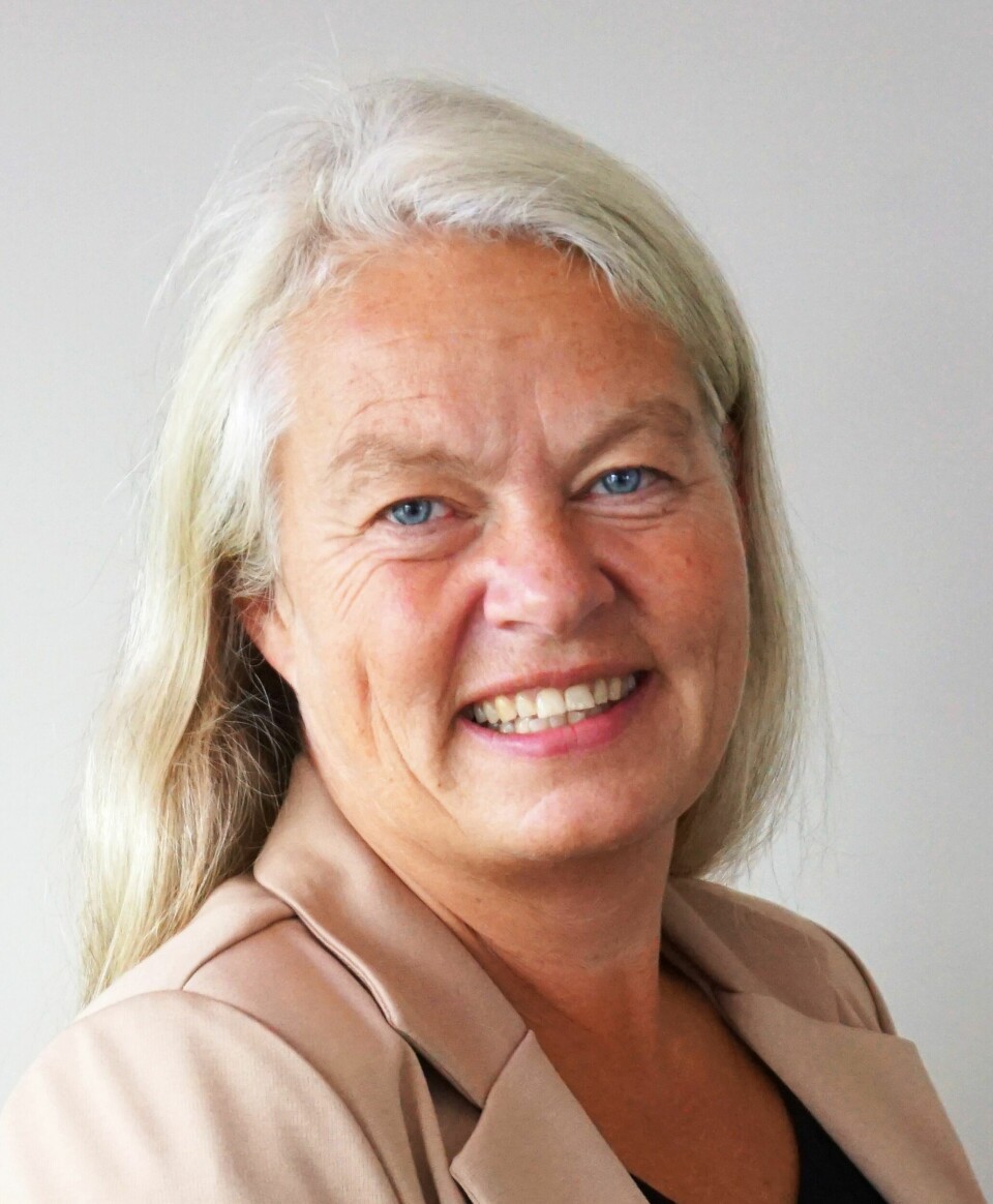 Monika Omholt er avdelingsdirektør i Statens vegvesen. Monika Omholt, avdelingsdirektør i Statens vegvesen