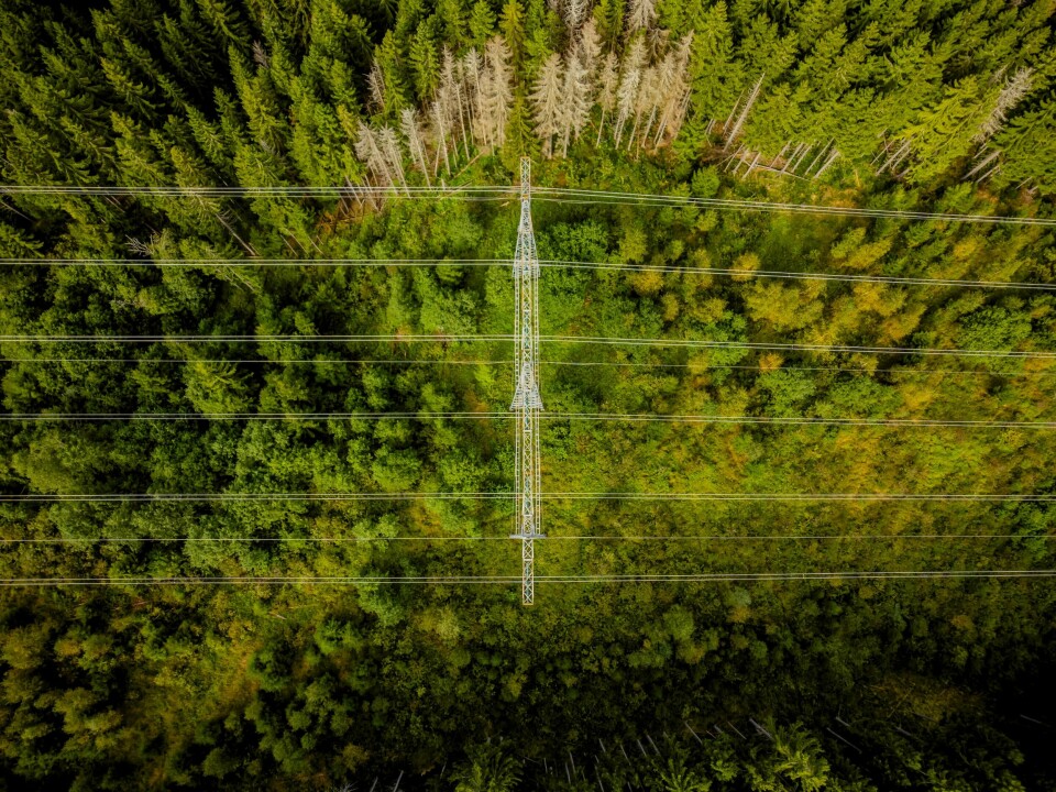 Utbygging av strømnettet fører til økt nettleie de neste årene. Det var rekordhøy strømproduksjon i tredje kvartal i år, ifølge SSB. Foto: Fredrik Varfjell / NTB