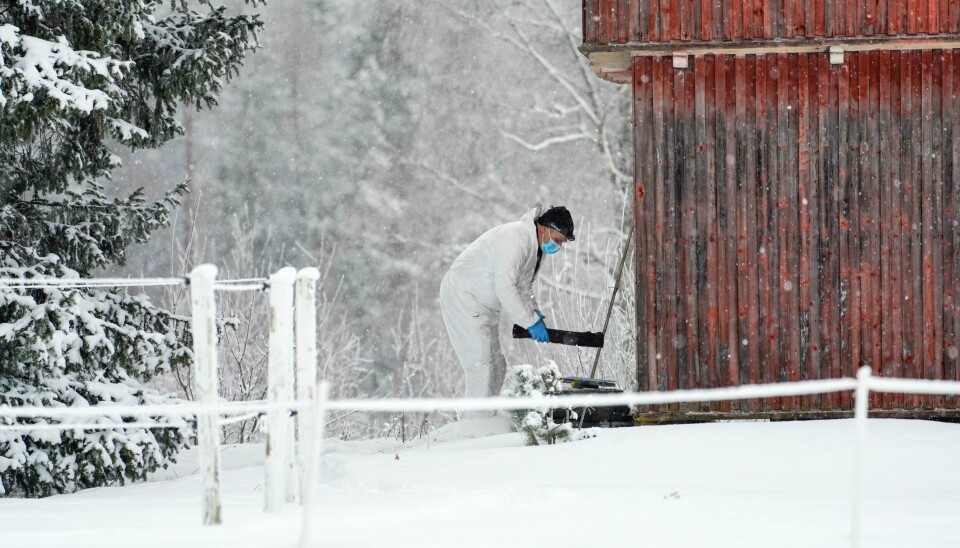 En kvinne er siktet for drap eller medvirkning til drap på 37 år gamle Ole Andreas Sønstvedt i Løten i vinter. Politiet har i flere dager gjort undersøkelser på gården i Løten etter at en mann i 30-årene ble meldt savnet. Bildet er tatt torsdag. Foto: Ole Berg-Rusten / NTB
